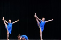 /album/lapuntadanzagenova/a0743-jpg/