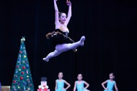 /album/lapuntadanzagenova/a0397-jpg/